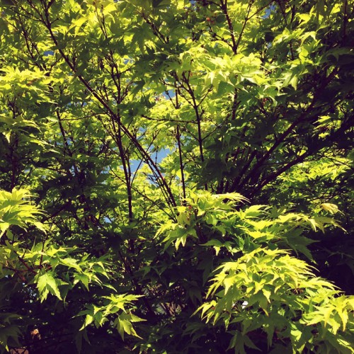 impactist_afternoon6