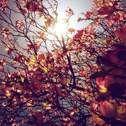 impactist_afternoon7